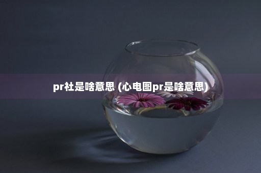 pr社是啥意思 (心电图pr是啥意思)