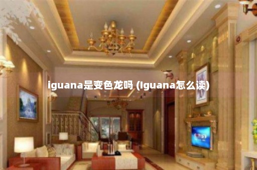 iguana是变色龙吗 (Iguana怎么读)