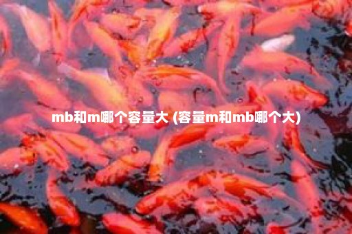 mb和m哪个容量大 (容量m和mb哪个大)