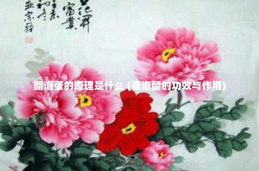 醋泡蛋的原理是什么 (蛋泡醋的功效与作用)