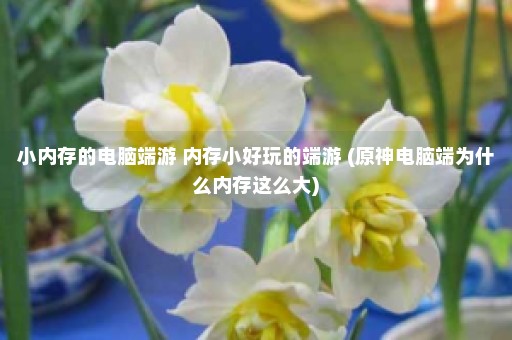 小内存的电脑端游 内存小好玩的端游 (原神电脑端为什么内存这么大)