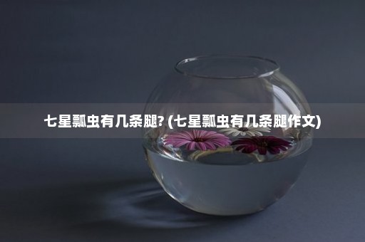 七星瓢虫有几条腿? (七星瓢虫有几条腿作文)