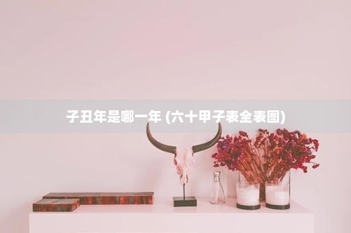 子丑年是哪一年 (六十甲子表全表图)