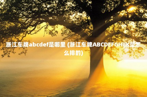 浙江车牌abcdef是哪里 (浙江车牌ABCDEFGHIJK是怎么排的)