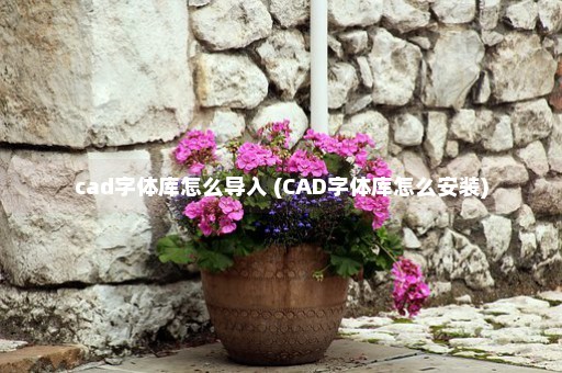 cad字体库怎么导入 (CAD字体库怎么安装)