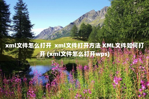 xml文件怎么打开  xml文件打开方法 XML文件如何打开 (xml文件怎么打开wps)