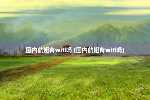 国内航班有wifi吗 (国内航班有wifi吗)