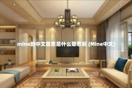 mine的中文意思是什么意思啊 (Mine中文)