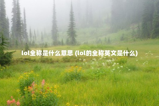 lol全称是什么意思 (lol的全称英文是什么)