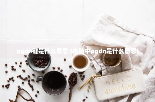 pgdn键是什么意思 (电脑中pgdn是什么意思)