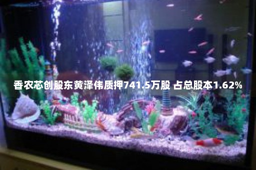 香农芯创股东黄泽伟质押741.5万股 占总股本1.62%