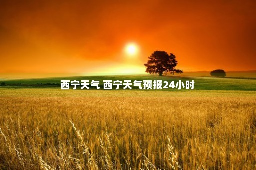 西宁天气 西宁天气预报24小时