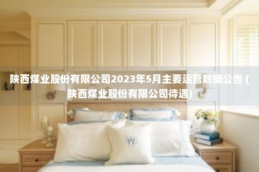 陕西煤业股份有限公司2023年5月主要运营数据公告 (陕西煤业股份有限公司待遇)