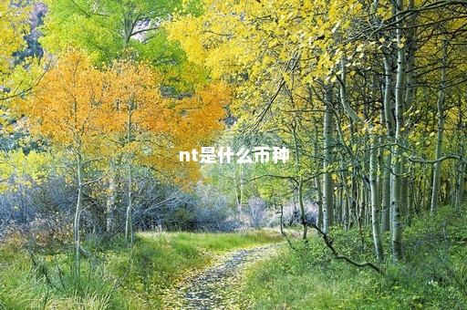 nt是什么币种