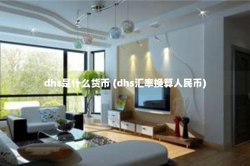 dhs是什么货币 (dhs汇率换算人民币)