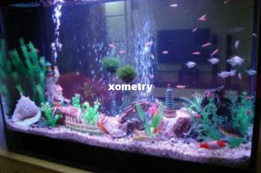 xometry