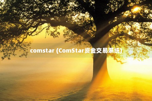 comstar (ComStar资金交易系统)