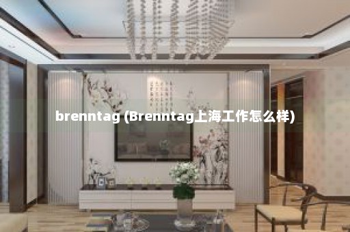 brenntag (Brenntag上海工作怎么样)