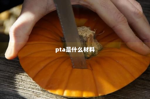 pta是什么材料