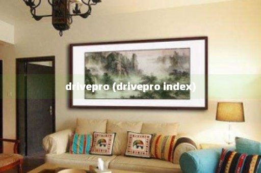 drivepro (drivepro index)