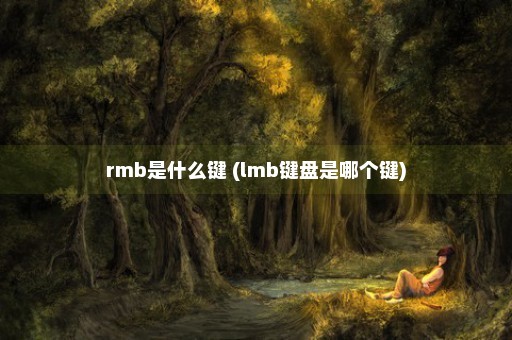 rmb是什么键 (lmb键盘是哪个键)