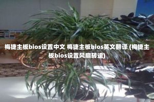 梅捷主板bios设置中文 梅捷主板bios英文翻译 (梅捷主板bios设置风扇转速)