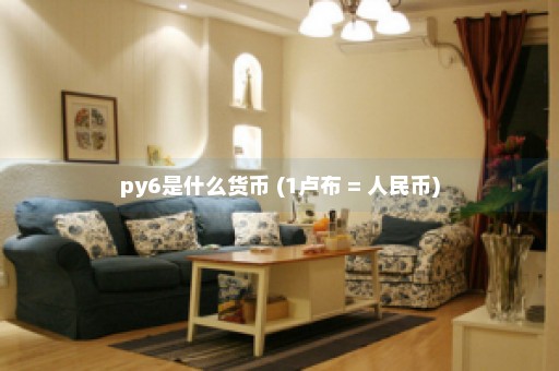 py6是什么货币 (1卢布 = 人民币)