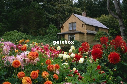 gatebox