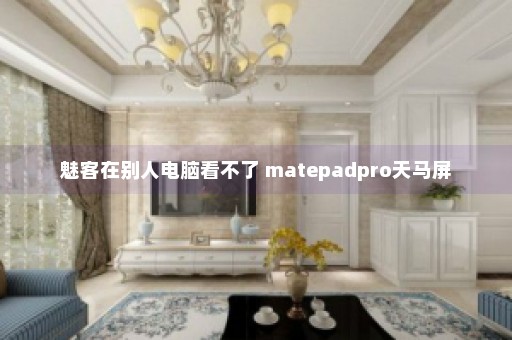 魅客在别人电脑看不了 matepadpro天马屏