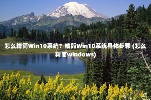 怎么精简Win10系统？精简Win10系统具体步骤 (怎么精简windows)