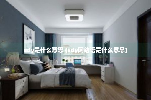 sdy是什么意思 (sdy网络语是什么意思)