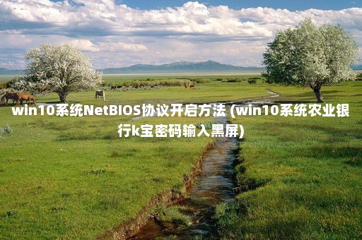 win10系统NetBIOS协议开启方法 (win10系统农业银行k宝密码输入黑屏)