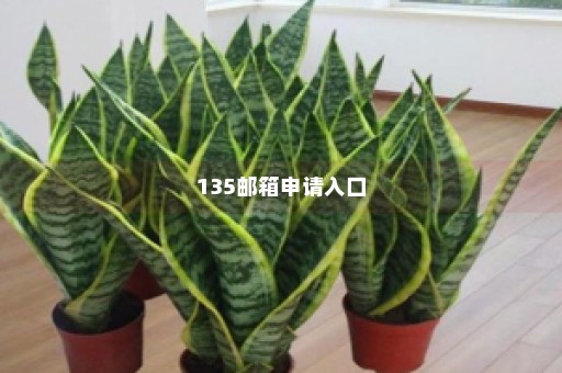 135邮箱申请入口