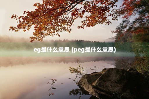 eg是什么意思 (peg是什么意思)