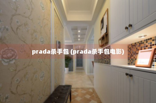 prada杀手包 (prada杀手包电影)