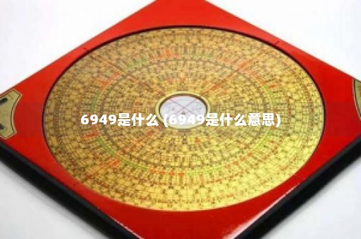 6949是什么 (6949是什么意思)