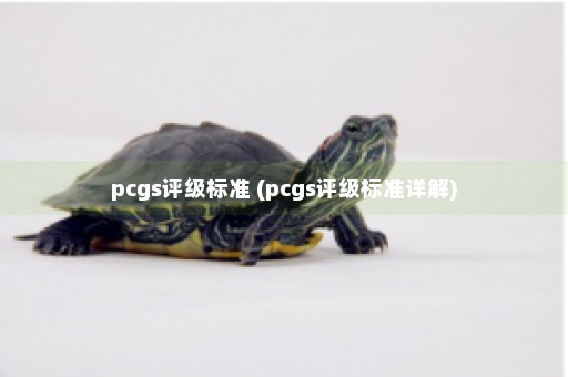 pcgs评级标准 (pcgs评级标准详解)