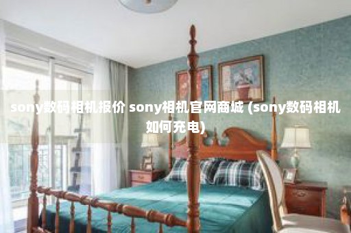 sony数码相机报价 sony相机官网商城 (sony数码相机如何充电)