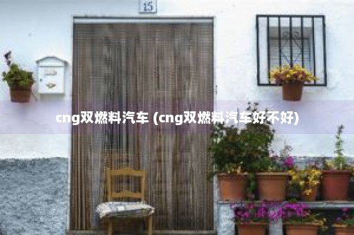 cng双燃料汽车 (cng双燃料汽车好不好)