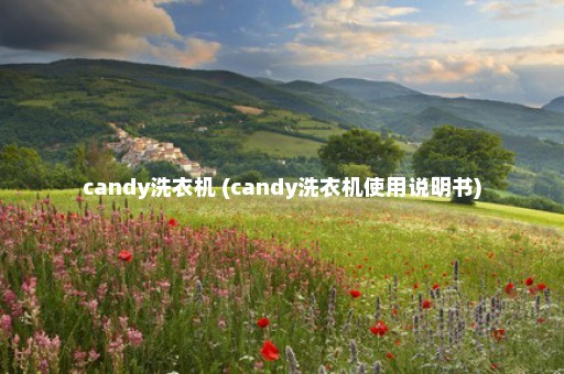 candy洗衣机 (candy洗衣机使用说明书)