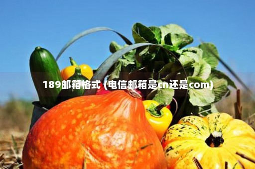 189邮箱格式 (电信邮箱是cn还是com)