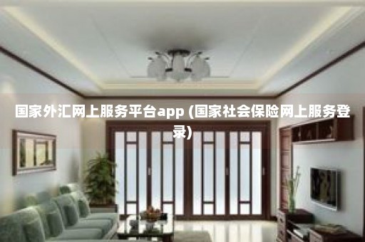 国家外汇网上服务平台app (国家社会保险网上服务登录)