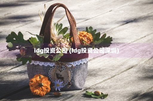 idg投资公司 (idg投资公司深圳)