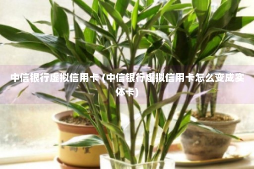 中信银行虚拟信用卡 (中信银行虚拟信用卡怎么变成实体卡)