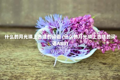 什么的月光填上合适的词语 (什么的月光填上合适的词语ABB)