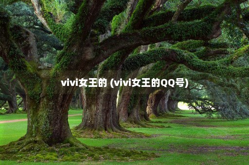 vivi女王的 (vivi女王的QQ号)