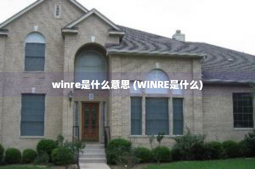 winre是什么意思 (WINRE是什么)