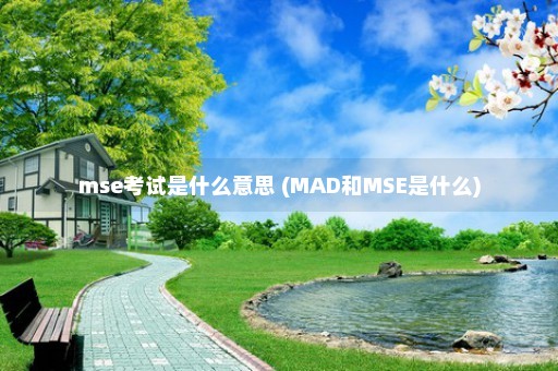 mse考试是什么意思 (MAD和MSE是什么)