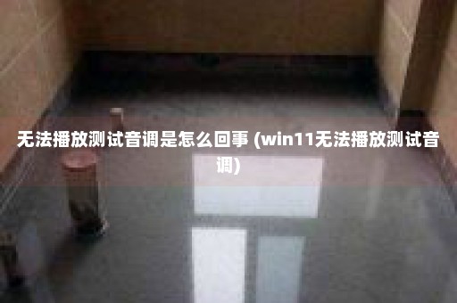 无法播放测试音调是怎么回事 (win11无法播放测试音调)