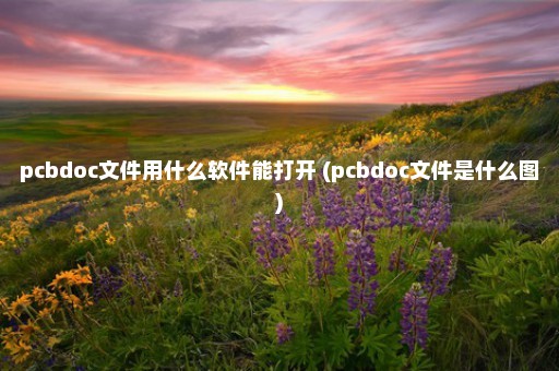 pcbdoc文件用什么软件能打开 (pcbdoc文件是什么图)